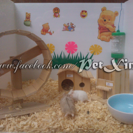 Hamster Combo 2