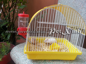 Lồng nuôi Hamster