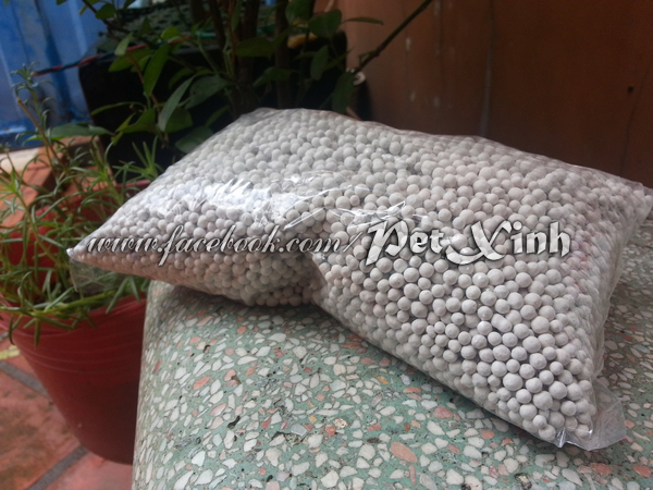 Nuôi Hamster... cần chuẩn bị gì? 11 cát sand lót nền hamster