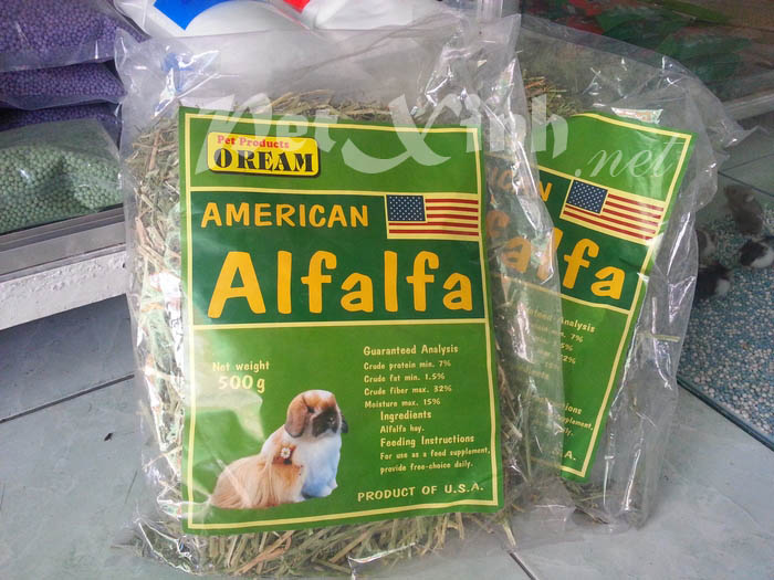 cỏ khô alfalfa thức ăn cho thỏ và bọ ú lông xù guinea pig