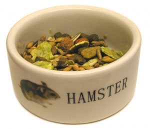 Thức ăn cho hamster