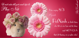 8 tháng 3 mua hamster tại petXinh để nhận quà