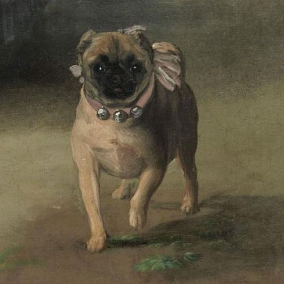 Chó Pug mặt xệ 4 hội họa chó pug