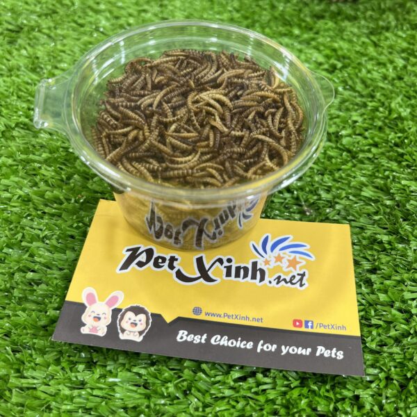 Sâu gạo sấy khô 20g