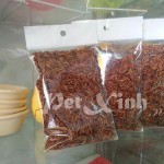 Sâu khô thức ăn cho nhím và hamster