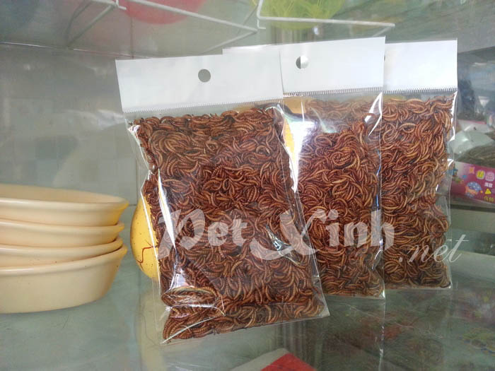 Sâu khô thức ăn cho nhím và hamster