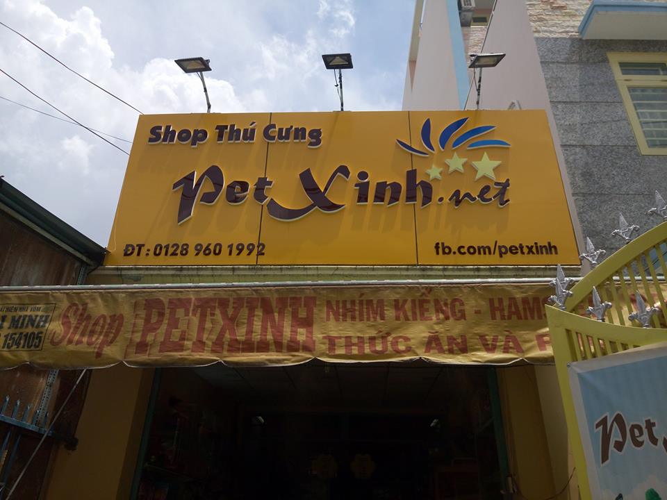 Bản Đồ PetXinh 1