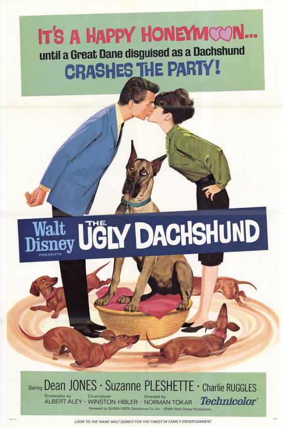 Một bộ phim rất cổ điển về dachshund của Walt Disney