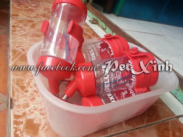 bình nước cho nhím và hamster