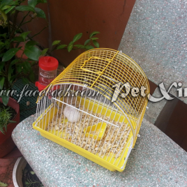 Lồng Hamster vòm cung