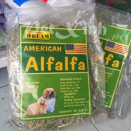 cỏ khô alfalfa thức ăn cho thỏ và bọ ú lông xù guinea pig
