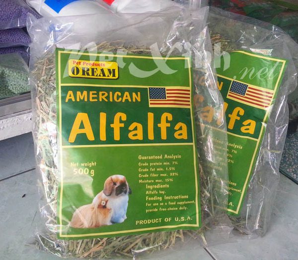 cỏ khô alfalfa thức ăn cho thỏ và bọ ú lông xù guinea pig