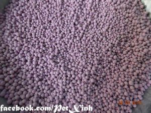 cát sàn giá sỉ