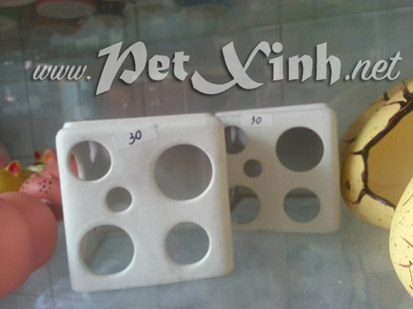 Nhà Hamster hình khối lập phương