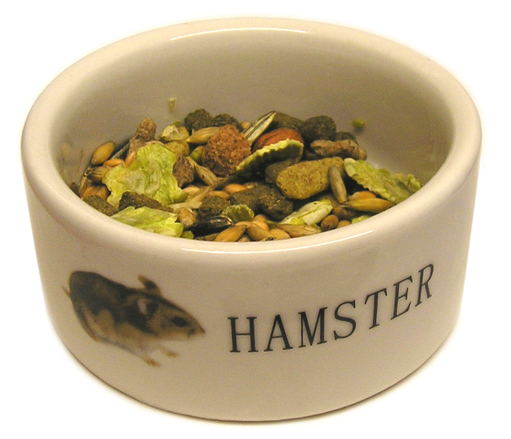 Thức ăn cho hamster