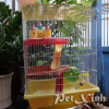 chuồng nuôi lồng nuôi hamster giá rẻ tp.hcm gò vấp