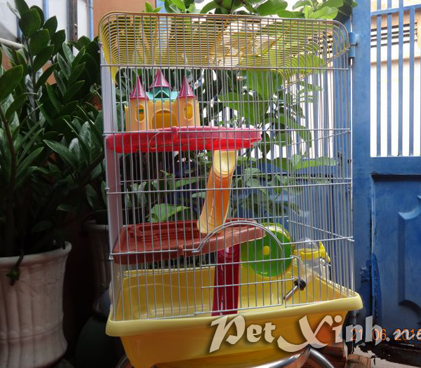 chuồng nuôi lồng nuôi hamster giá rẻ tp.hcm gò vấp