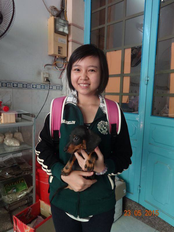 Chó dachshund lạp xưởng giá rẻ Tp.HCM gò vấp