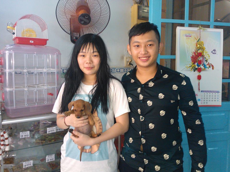 Chó dachshund lạp xưởng giá rẻ Tp.HCM gò vấp