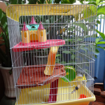 chuồng nuôi lồng nuôi hamster giá rẻ tp.hcm gò vấp