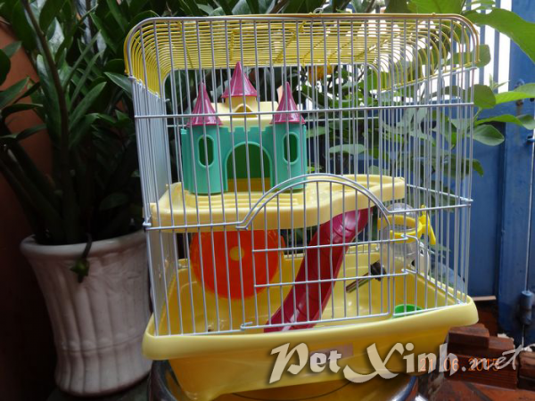 chuồng nuôi lồng nuôi hamster giá rẻ tp.hcm gò vấp