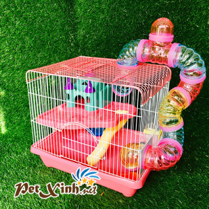 Nên chọn lồng cho Hamster như thế nào ? 10