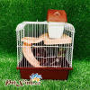 Lồng happy nhỏ cho hamster 3