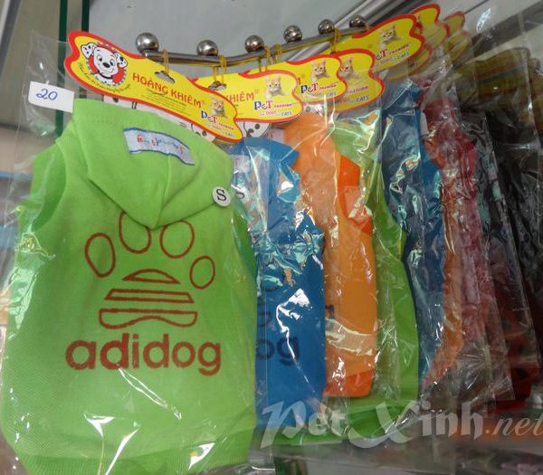 PetXinh - shop thú cưng uy tín Gò Vấp, Tp.HCM 54