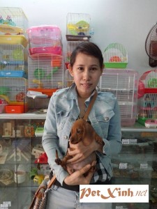 Khách hàng mua lạp xưởng chó Dachshund