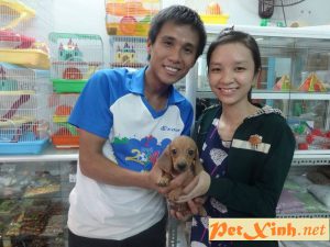Khách hàng mua lạp xưởng chó Dachshund