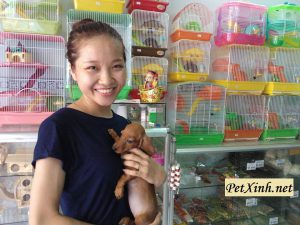Khách hàng mua lạp xưởng chó Dachshund