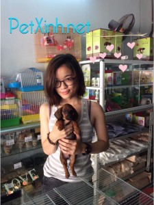 Khách hàng mua lạp xưởng chó Dachshund