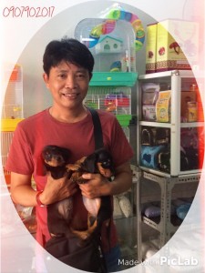Khách hàng mua lạp xưởng chó Dachshund