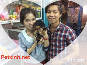 Khách hàng mua lạp xưởng chó Dachshund