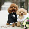 poodle