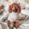 poodle