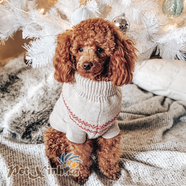 poodle