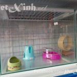 Hồ kiếng nuôi nhím hamster
