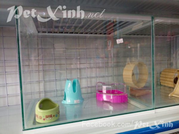 Hồ kiếng nuôi nhím hamster