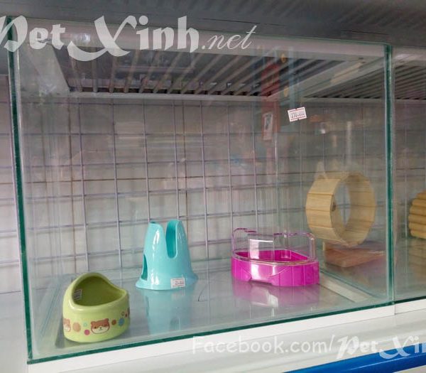 Hồ kiếng nuôi nhím hamster