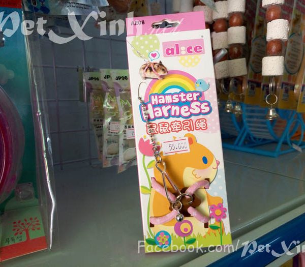 Dây dắt hamster đi chơi