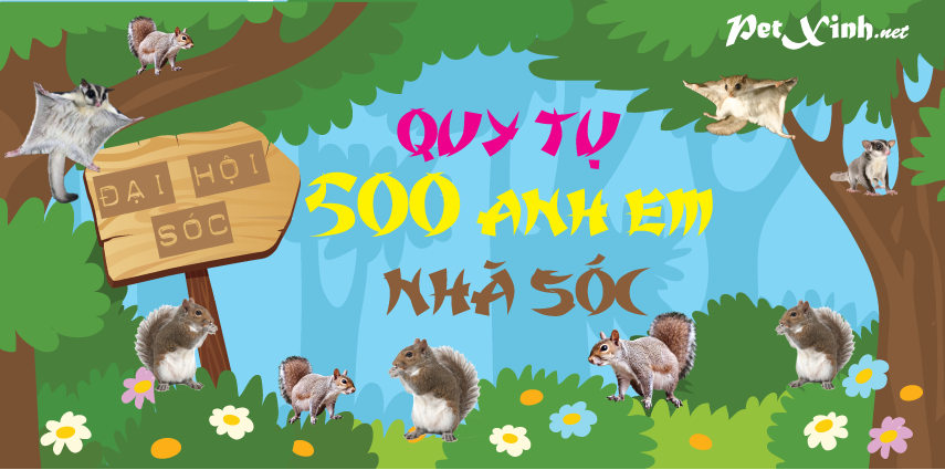 sóc bay sóc bông sóc đất PetXinh