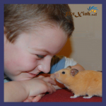 hamster petxinh
