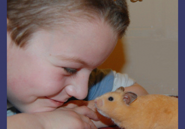 hamster petxinh
