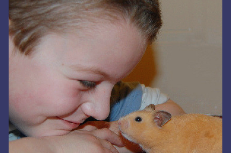 hamster petxinh