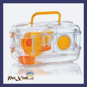 hamster petxinh