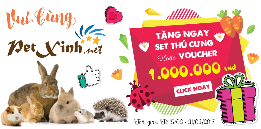 sự kiện vui cùng petxinh nhận ngay quà khủng