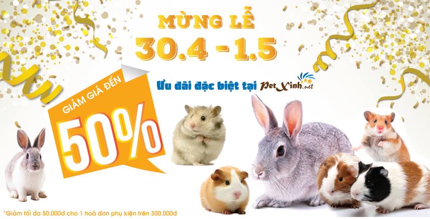 giảm giá 50% nhân dịp 30/04
