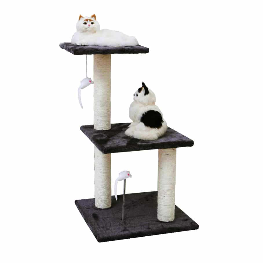 bậc tam cấp cho mèo