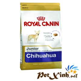 chihuahua royal canin junior